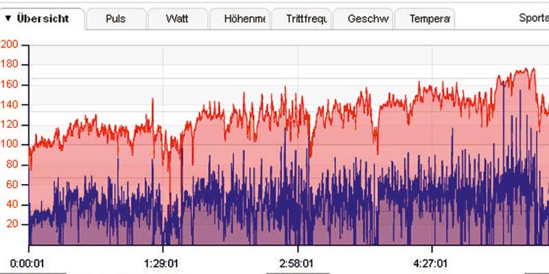 Auswertung-Watt